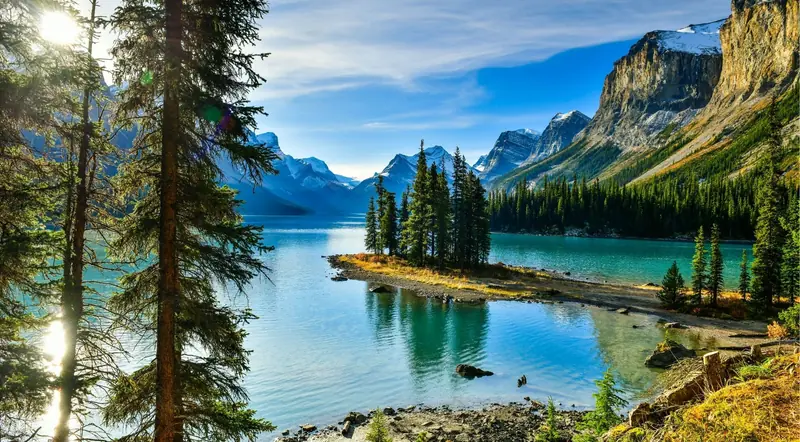 Spirit Island framed by pines from the Maligne Lake viewpoint
